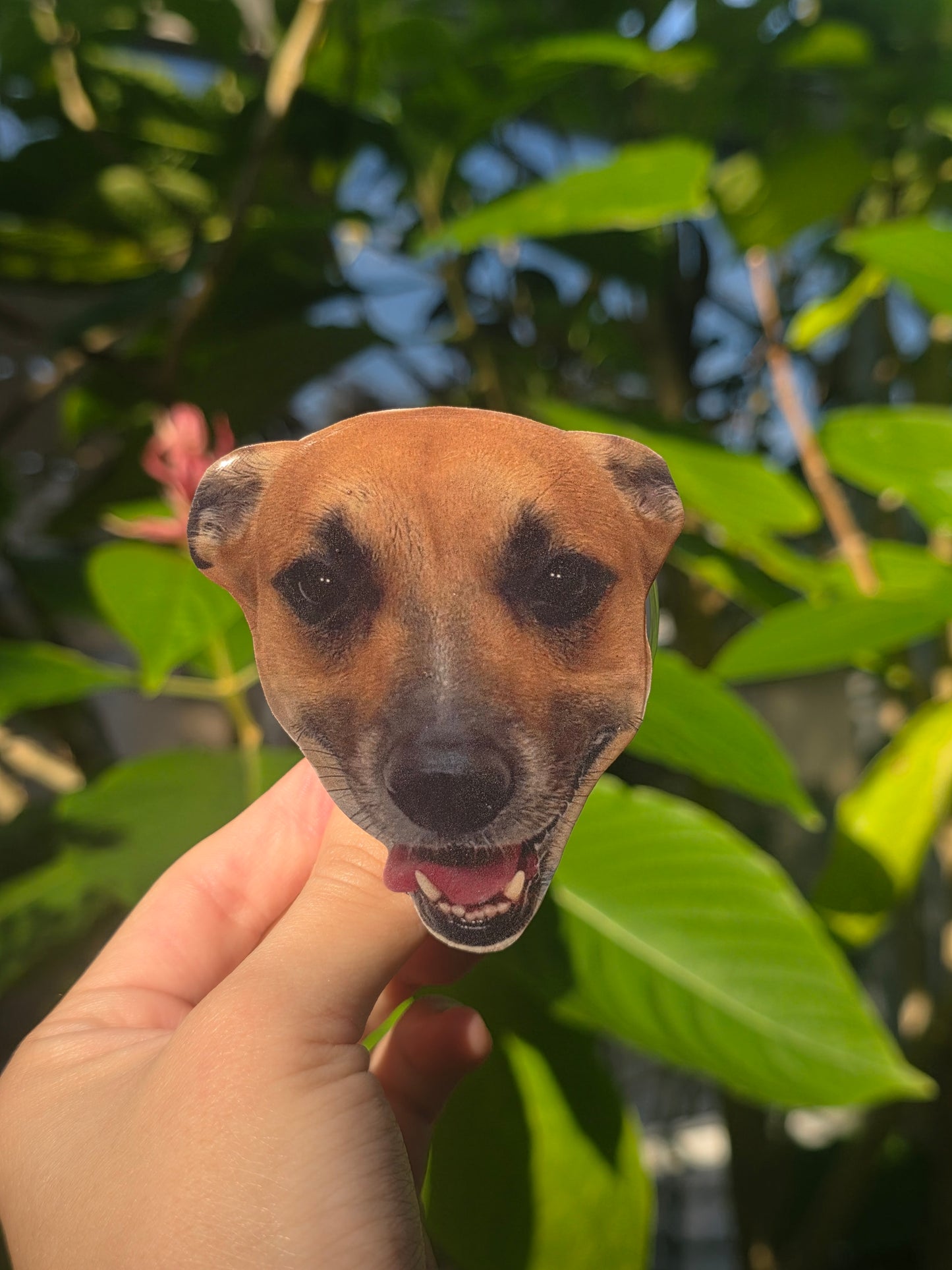 Custom Pet Phone Grips