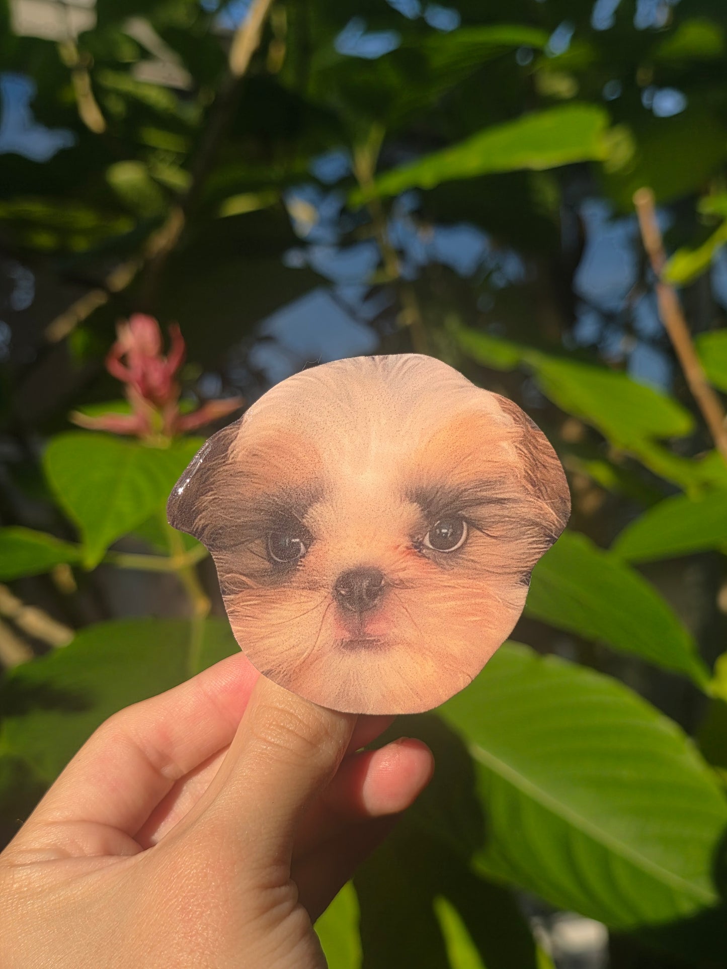 Custom Pet Phone Grips