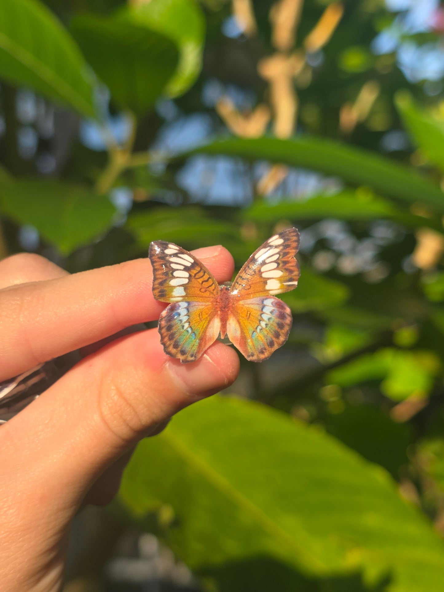 Butterfly shoe charms