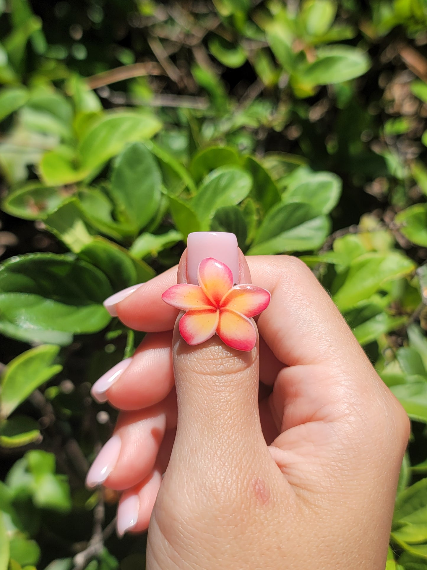 Plumeria rings stainless steel adjustable/ wire swirl rings