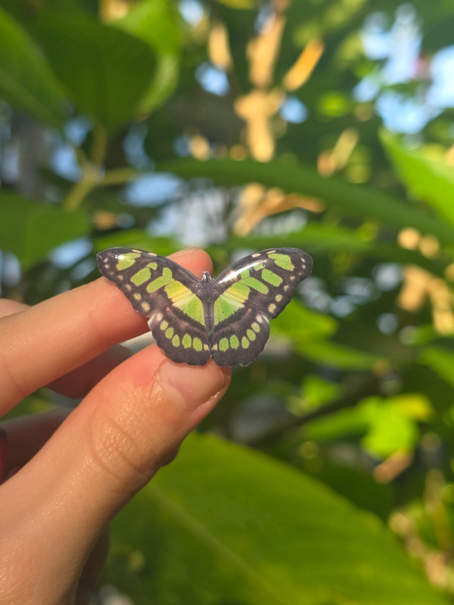 Butterfly shoe charms